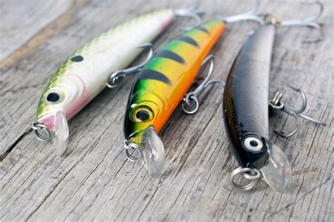 Best Lure Color The Answer For 15 Popular Gamefish Fishing Duo