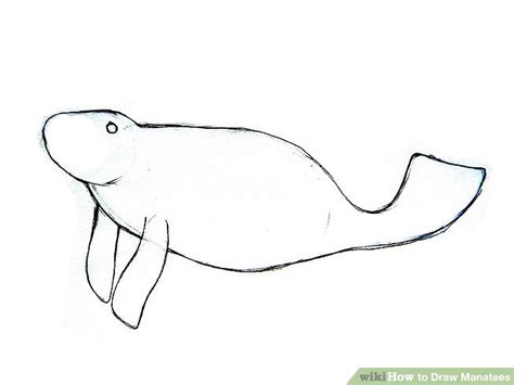 How To Draw Manatees 5 Steps With Pictures Wikihow