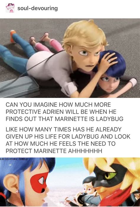 Pin by mav⁷ on Miraculous Ladybug and Chat Noir Miraculous ladybug memes Miraculous ladybug