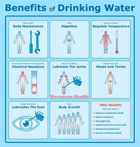 Welcome To The Paleo Network Drinking Water Benefits Of Drinking Water Why Drink Water
