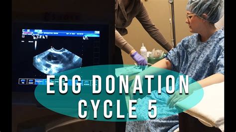 Egg Donation Ivf Process Youtube