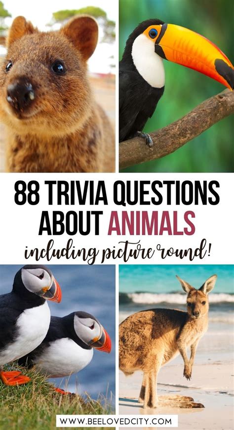The Ultimate Animal Trivia Quiz: 88 Questions and Answers about Animals