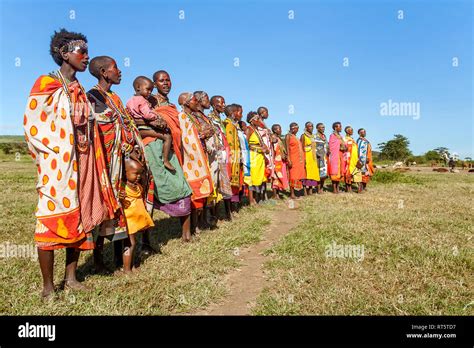 masai mara kenya may 23 2017 masai women in traditional costume lined up during a ceremony