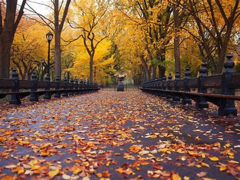 16 Great Things To Do In New York When The Weather Turns Crisp Autumn