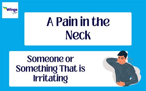 A Pain In The Neck Meaning Examples Synonyms Leverage Edu