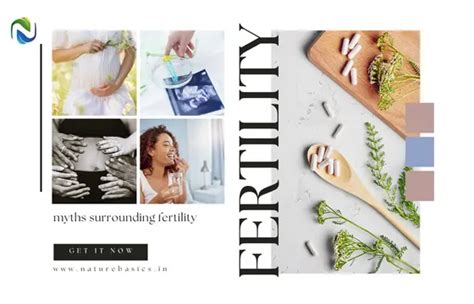 Fertility Facts Vs Myths Separating Truth From Fiction