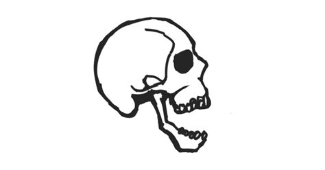 Skull Clipart Side Pictures On Cliparts Pub 2020 🔝