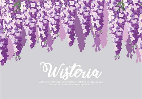 Wisteria Flowers Background Vector 146647 Vector Art At Vecteezy