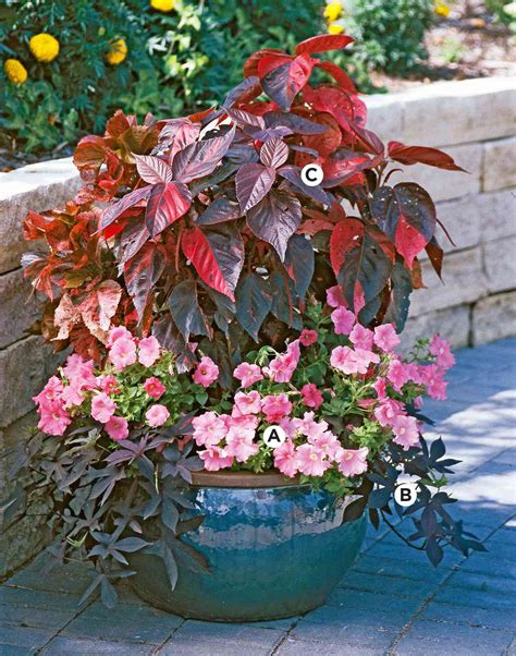 30 Beautiful Planter Combinations For Stunning Container Gardens
