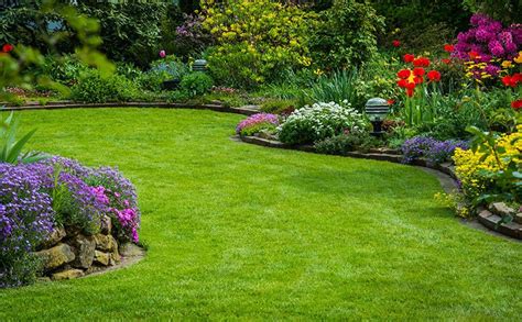 Top 5 Lawn Care And Landscaping Trends For 2019