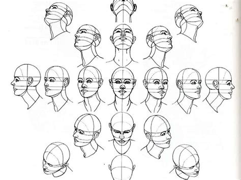 Guías De Dibujo Anatomía Y Movimientos Del Cuerpo Tutoriales De