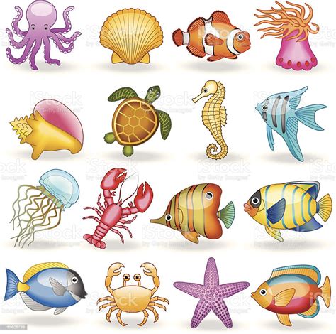 Sea Creatures stock vector art 165626739 | iStock