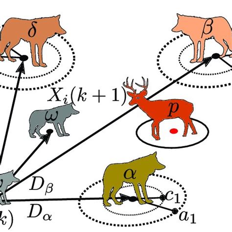 Positioning Of The Gray Wolves Around Its Prey And Its Possible Next