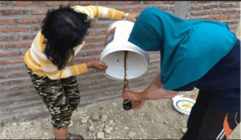 Los niveles de urea suelen proporcionarse en mg/dl que son sobre los que está basado esta información. cara-membuat-pupuk-organic-cair-takaran - IlmuBudidaya.com