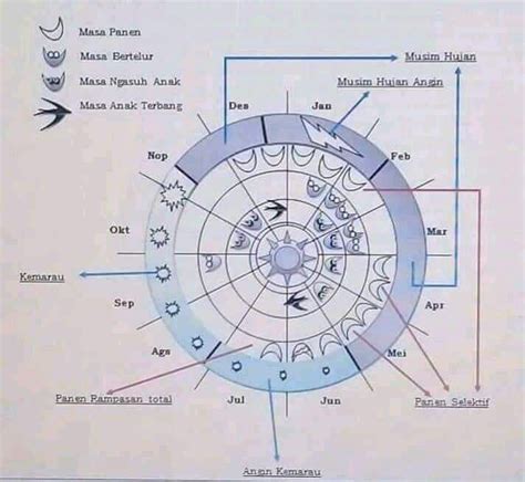 Rajab adalah bulan ketujuh dalam penanggalan hijriyah dan penanggalan jawa. Home - IRWANDY WALET