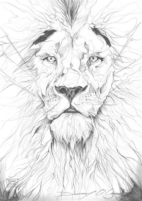 Lion Pencil Drawing By Art By Doc On Deviantart