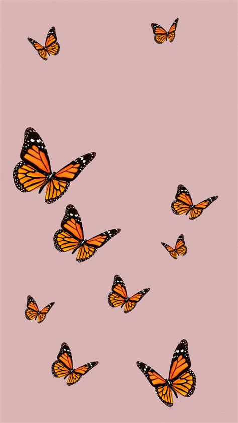 Vsco Aesthetic Design Aesthetic Butterfly Wallpaper Goimages Algebraic