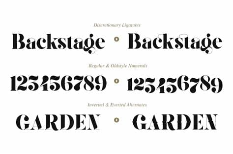 Script typefaces are based upon the varied and often fluid stroke created by handwriting, pretty much like the cursive fonts just typically more elegant. Gaze Pro | Microsoft word 2010, Typeface, Didot