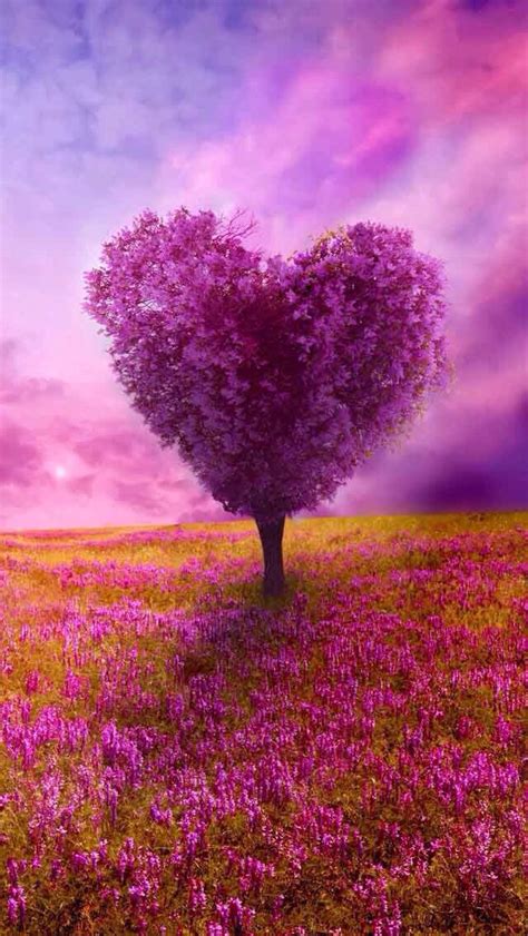 Wallpaper E Love Animation Wallpaper Beautiful Nature Heart Wallpaper