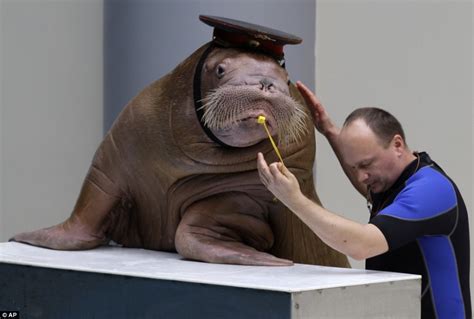 I Am The Walrus And I Play The Sax Sara The Jazz Musician Wows Her