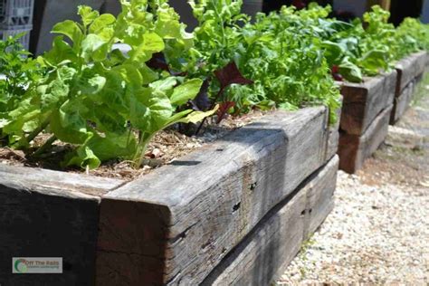 Raised Garden Beds Railway Sleepers Off The Rails Creative Landscaping