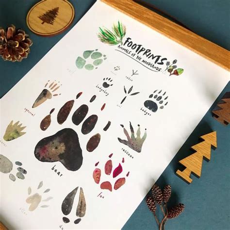 Woodland Animal Footprints Art Print