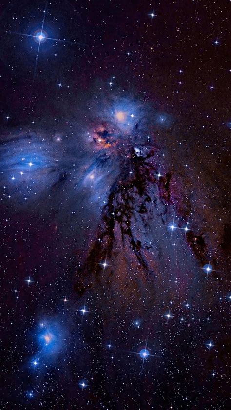 Stargazing Wolf — Ngc 2170 Angel Nebula Hubble Space Telescope