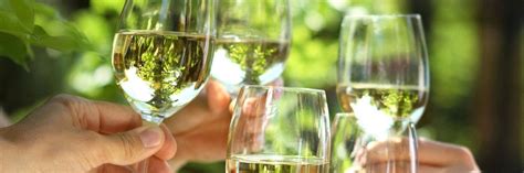 Use translate.com to cover it all. How To Say Cheers in Spanish | The Meaning of Salud ...