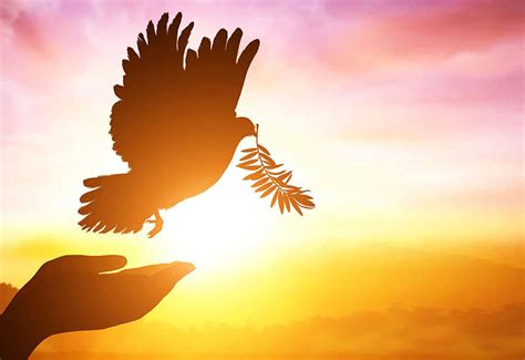 Anotações sobre a paz – Centro Espirita Caminho da Paz