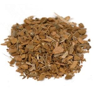 Sassafras sassafras albidum is nutrient dense herb support for immunity, prevent cancer, sooth menstrual pain, skin health and boost dental health. Sassafras Root Bark C/S - 4 oz - Starwest Botanicals