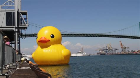 usa world s largest rubber duck invades la video ruptly