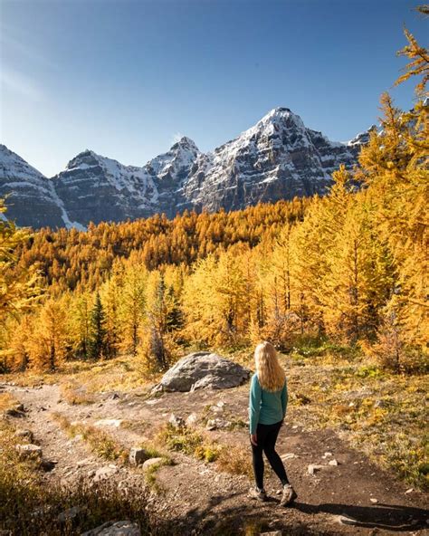 A Complete Guide To The Larch Valley Hike And Sentinel Pass — Walk My World