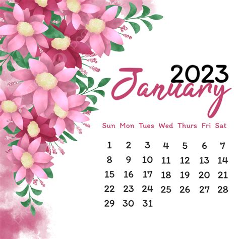 January 2023 And Pink Flowers Ornament January 2023 Flower Border