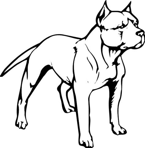 Different types of pit bulls. American Pit Bull Terrier Puppy American Bully - puppy png ...