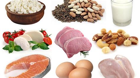 Select a wide variety of protein foods to get more of the nutrients your body needs and for health benefits. Are you getting enough protein in your diet? | Loop PNG