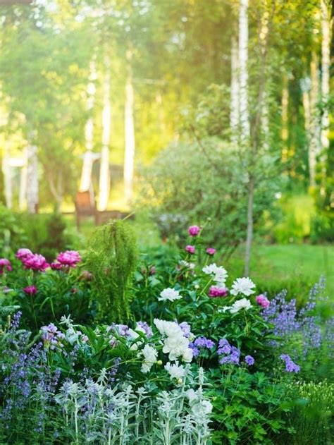 11 Florals For An English Cottage Garden Bob Vila