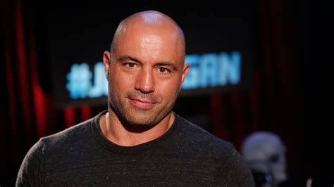 Rogan hosts the joe rogan experience, one of the web's most popular podcasts, in which he discusses everything from martial arts and fitness to politics and pop culture. The Bald Icons: Who is Joe Rogan? | The Bald Brothers