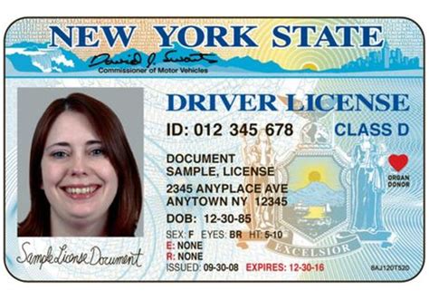Evolution Of The New York Drivers License 40 Pics