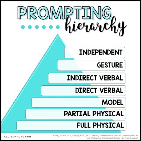 Prompting Hierarchy Infographic Allison Fors
