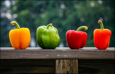 12 Amazing Health Benefits Of Bell Pepper Reasons To Add Bell Peppers