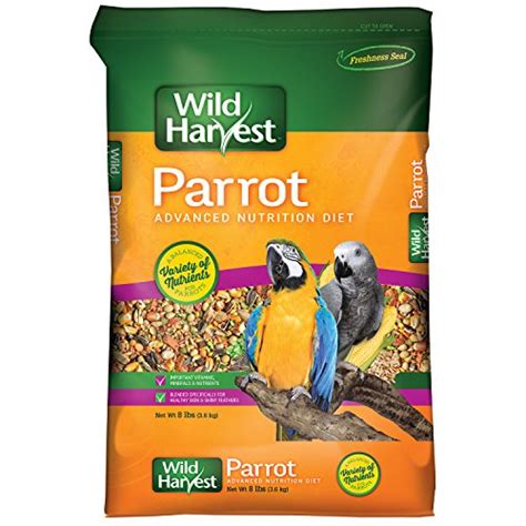 Best Bird Food For Parrots 10reviewz