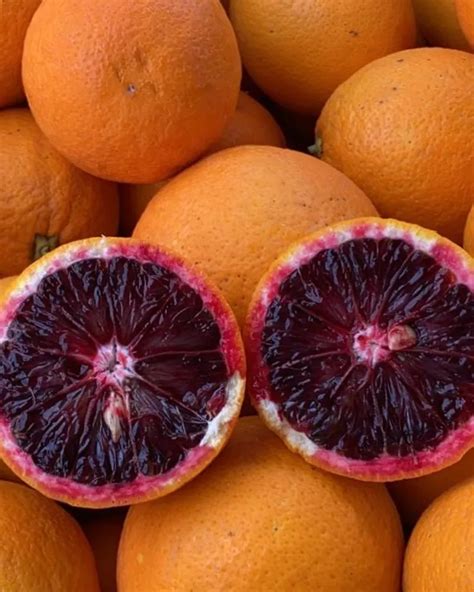Oranges Sanguines Bio De Arancebio Italie Crowdfarming Fruits Et