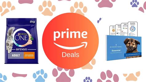Pamper your pets with Amazon deals