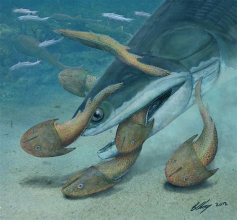 423 Million Year Old Fish Was Once Earths Largest Vertebrate Live