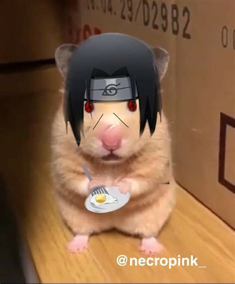 The Best 13 Hamster Meme Pfp Naruto Quotefrontage