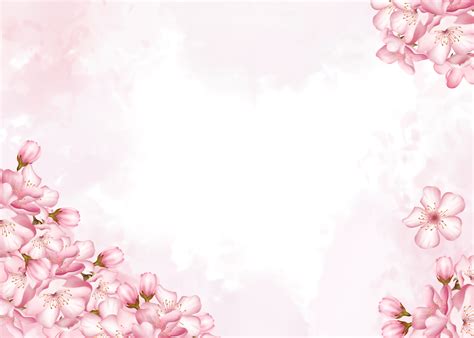 Pink Sakura Flowers Blooming Background Pc Wallpaper Wallpaper