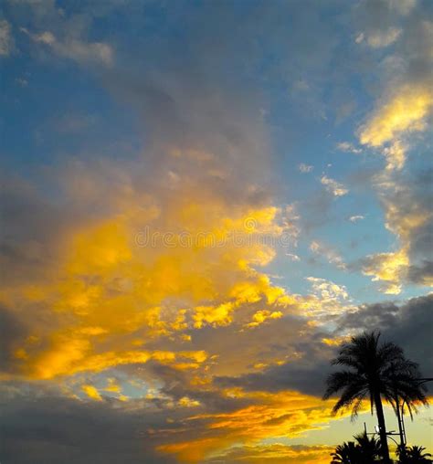 Very Beautiful Yellow Sky With Clouds Sunsetsunrise With Palm Stock