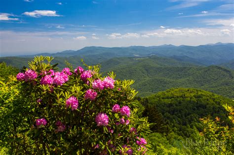 The Ultimate Blue Ridge Parkway Travel Guide 2023 Blue Ridge