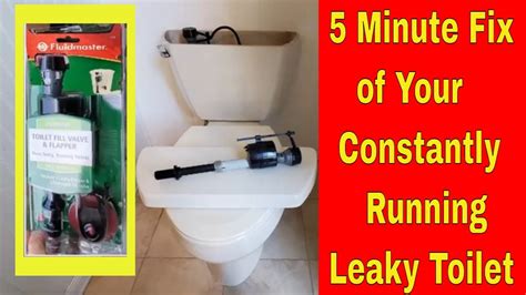 How To Fix A Leaky Running Toilet Install Fluid Master Diy Quick Simple Repair Youtube