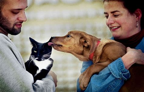 Dog vs. cat: For first time, social survey measures owners’ happiness